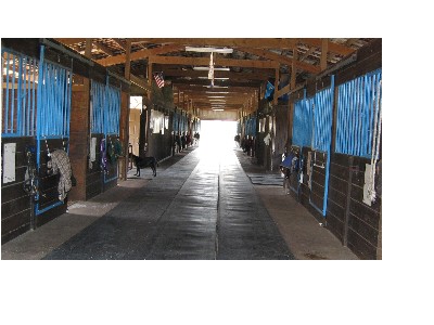 aisle mats
